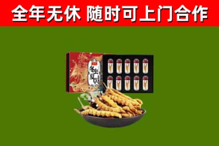 南芬烟酒回收冬虫夏草礼盒.jpg